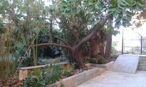Casa Vacanze Coglitore Galioto