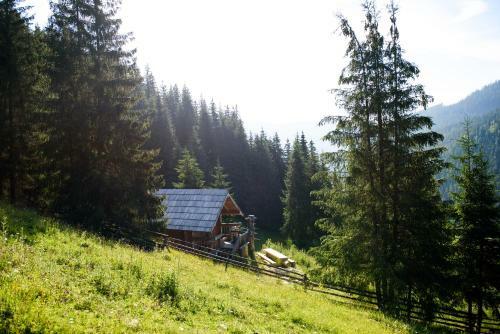 Hostal Casa Razesului