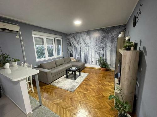 Apartman Avenia