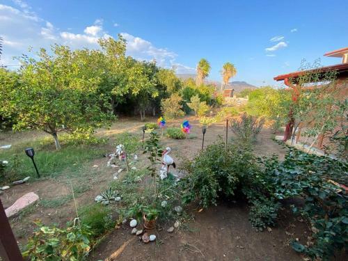 V?lla Ern?s - Dat�a Raykent Tat?l S?tes? - K?ralik