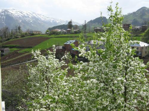 Cal Cave Apart Hotel, ???? ??? ???? ?????