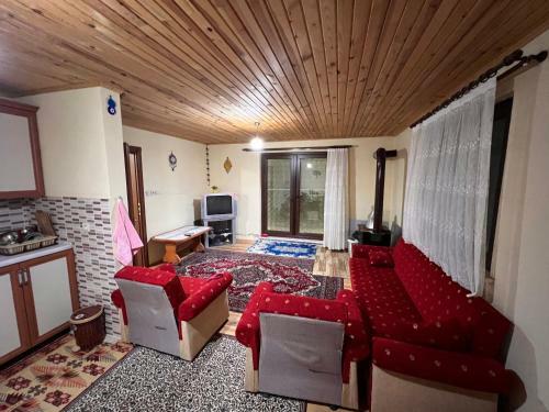 Ha�ka Yaylasi Da? Ev?