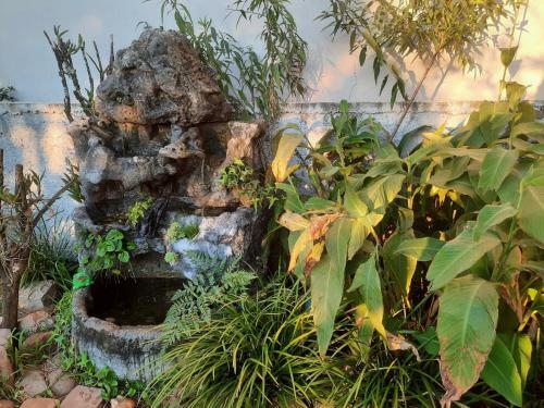 Bed & Breakfast Quarto Solteiros Turistando