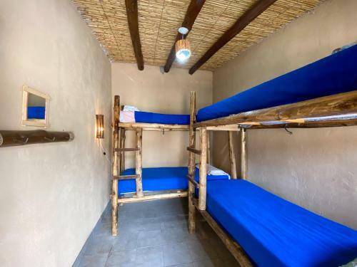 Albergue Arbol Tilcara