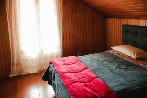 Canela Hostel