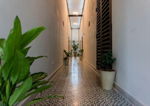 Hotel The Garden Suites By Dot Premium