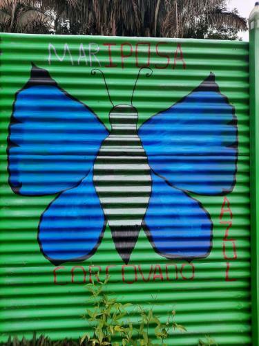 Albergue Mariposa Azul - Carate -