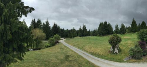Cedar Park Resort And Golfing