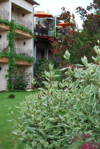 Hotel Hostellerie Gilain