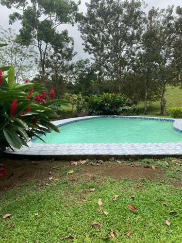Casa Paraiso - Where The Adventure Begins!