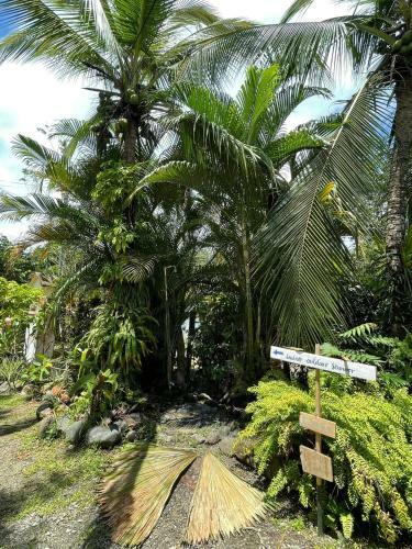 Hotel Paraiso Del Surf Pavones