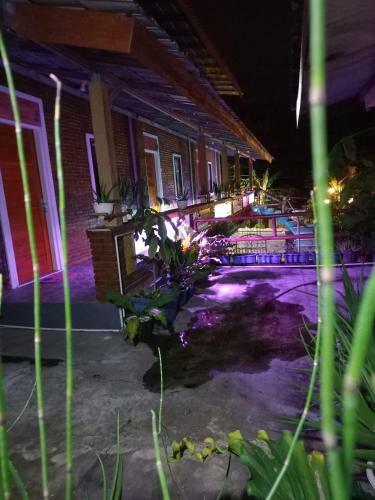 Lobster Homestay