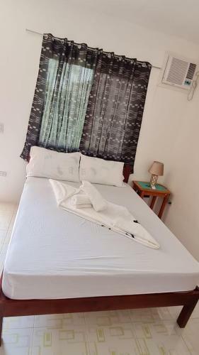 Hostal Babas Guesthouse