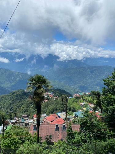 The Vagabond?s Homestay