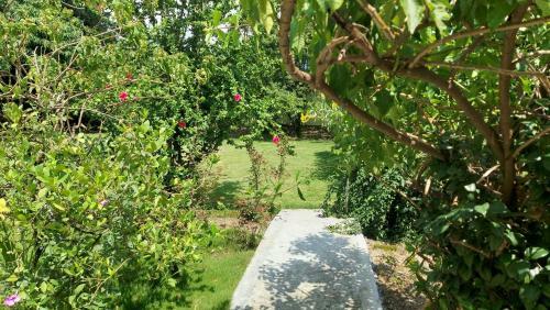 Hostal Vera Home Stay