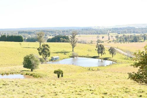 Somerton Barn: Alpacas, Cattle & Amazing Views