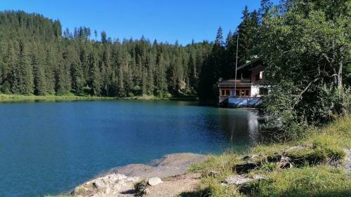 Apartamento Lebenskraft-apartments
