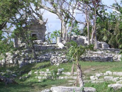 Apartamento Anemona Playacar