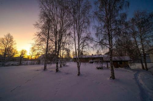 Villa Arcticfox Rovaniemi