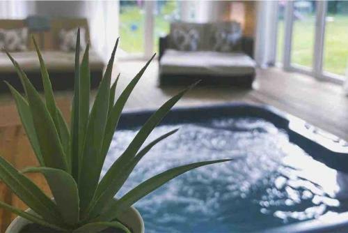 Hostal York Cottage House & Spa