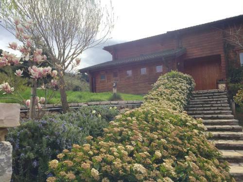 Luxury Chalet Villa