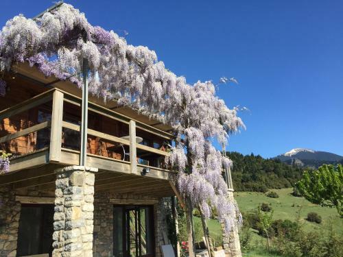 Luxury Chalet Villa