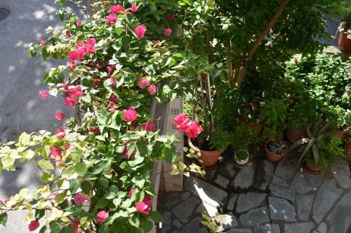 Hostal Polemarhos Guest House 10
