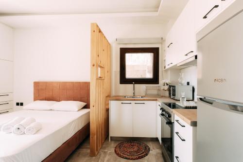 Irene's Cozy Apartment #2