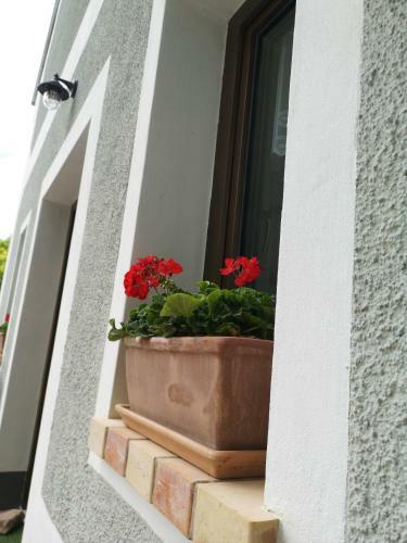 Apartamento Kosbor Vend�gh�z