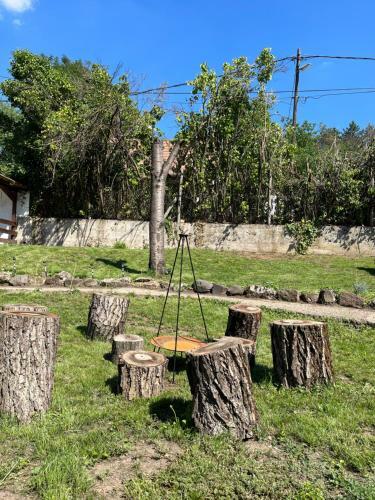 Riesling Vend�gh�z �s Pince