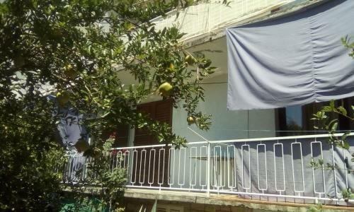 Apartman Marta