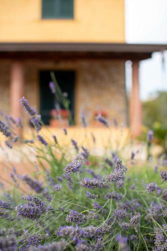 Oleandro, Charming Stay In Versilia Countryside