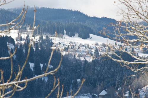 Hostal Hotel Adler B�rental