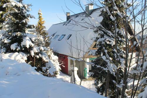 Apartamento Berghaus Feldberg-b�rental