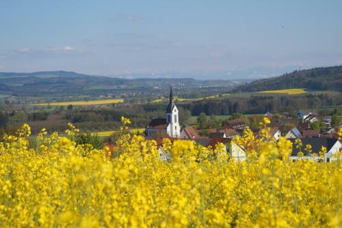 Agroturismo Landhotel Hofgut-schellenberg