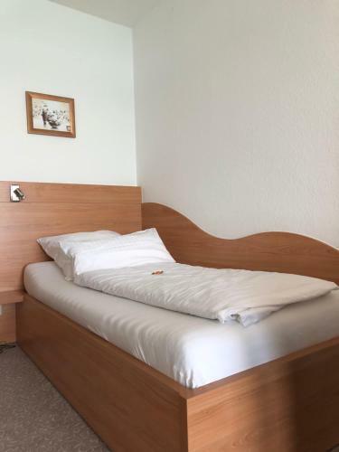Hotel Seegarten