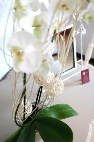 Hostal Guesthouse �toile De La Citadelle