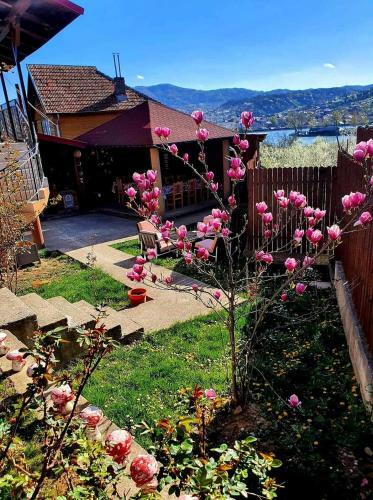 Hostal Casa Ostrov