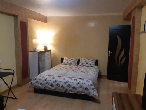 Apartament In Centrul Iasului (lapusneanu)