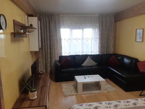 Apartament In Centrul Iasului (lapusneanu)