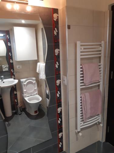 Apartament In Centrul Iasului (lapusneanu)