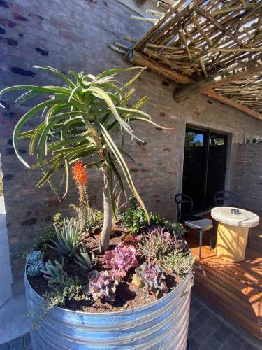 Mohlape Lodge