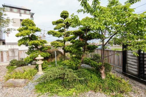 Bed & Breakfast Balawua