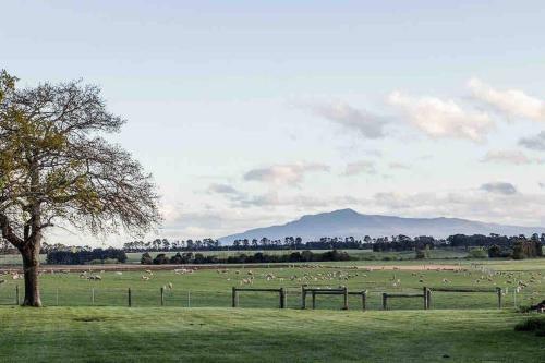 Villa Chatsworth Tasmania