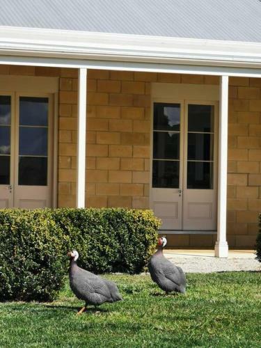 Villa Chatsworth Tasmania