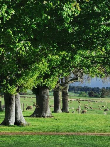 Villa Chatsworth Tasmania