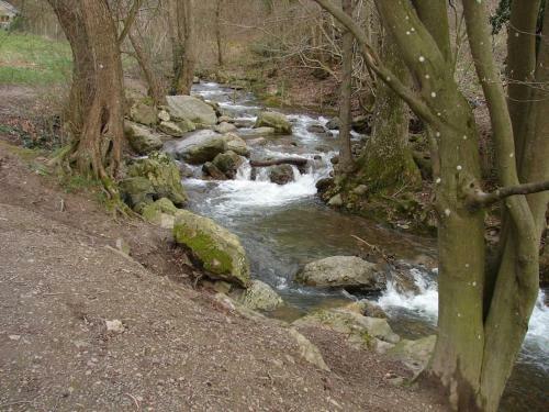 Grande Maison Cozy, Sud, 15 Min Spa Francorchamps