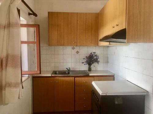 Country Apartment Vlaseros