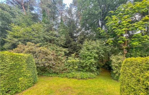 Awesome Home In Otterlo With Wifi And 1 Bedrooms