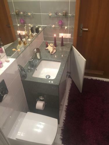Apartament W Ogrodach Paulinum